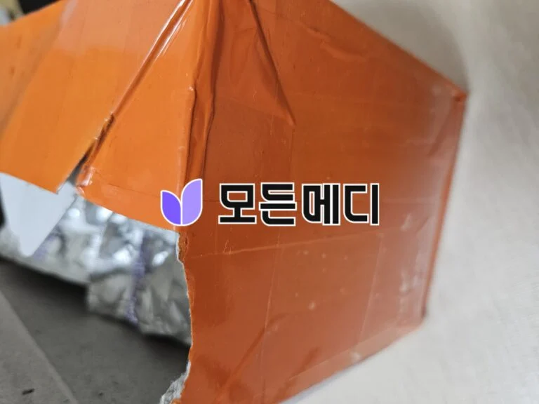 라식스정 푸르세미드 직구, 구매, 후기