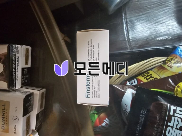 핀스톰 직구, 구매, 후기